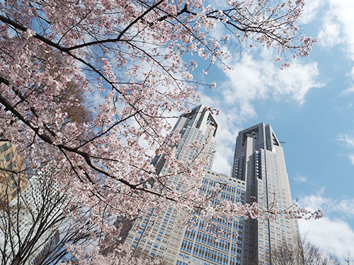 新宿中央公園