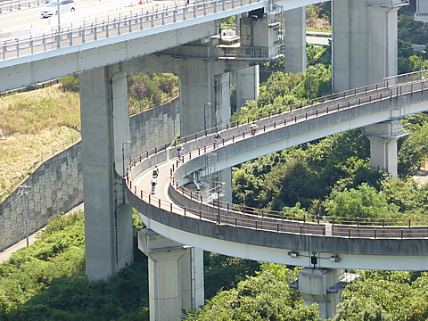P1290571.jpg