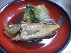 P1000663.JPG