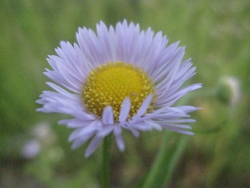 IMG_8749.JPG