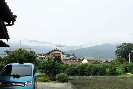 我が家のニャンコ♪2016/06/24-02
