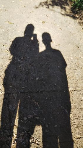 rblog-20181118162618-03.jpg