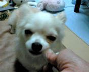 2014-12-16 20:38:09