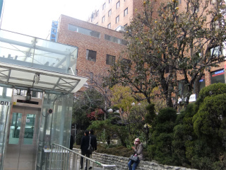 2012_12110022.jpg