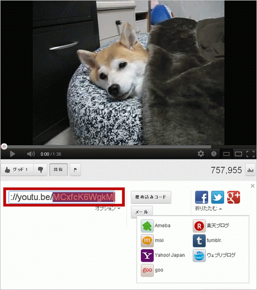 youtube002.gif