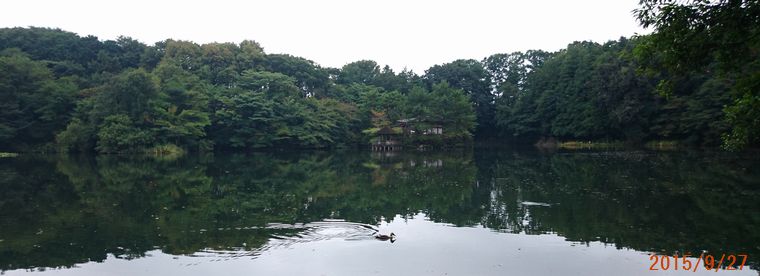 ９／２７三宝寺池.jpg