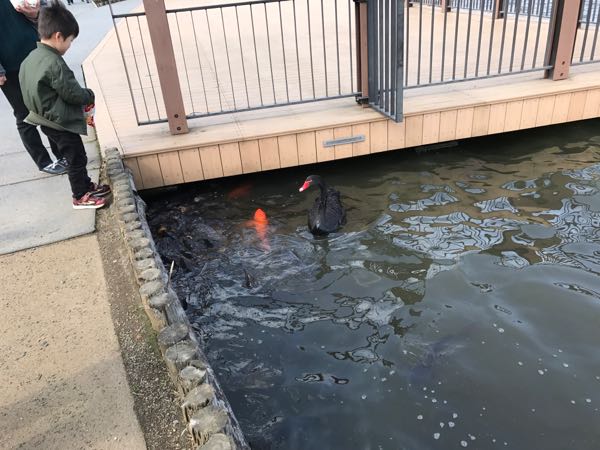 rblog-20180324181428-03.jpg