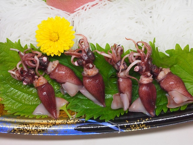 P1250027.jpg