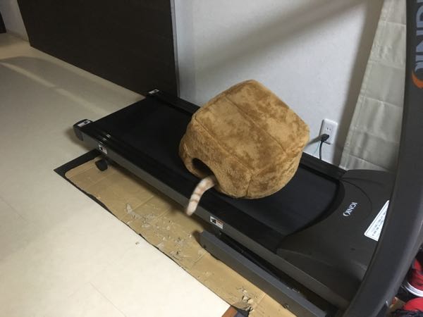 rblog-20181122063323-05.jpg