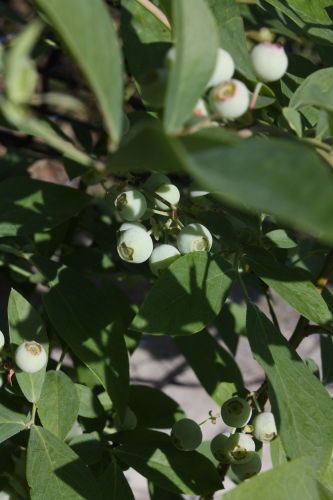 2015053105.JPG