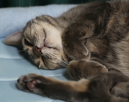 5DA_1562-21.jpg