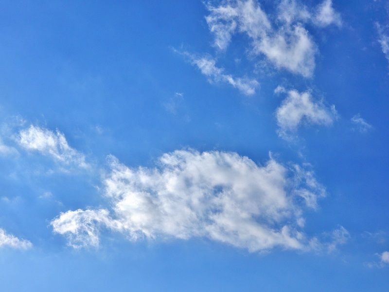 空4