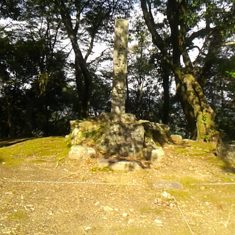 金山城