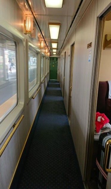 トイプー 電車で鬼怒川温泉旅行 スペーシア鬼怒川 犬 晴れ ときどきトイプー 楽天ブログ