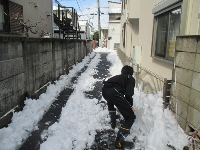 雪かき