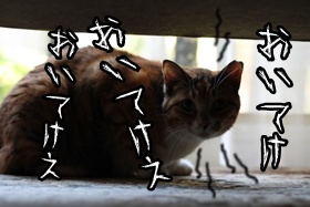 画像 196.jpg