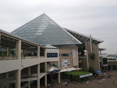 seapala.jpg