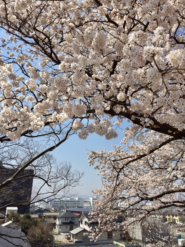 rblog-20180329055248-04.jpg