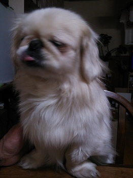 20130214-1.jpg