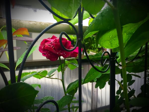 rblog-20160530190925-03.jpg