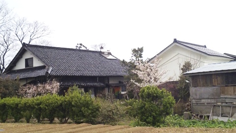 我が家