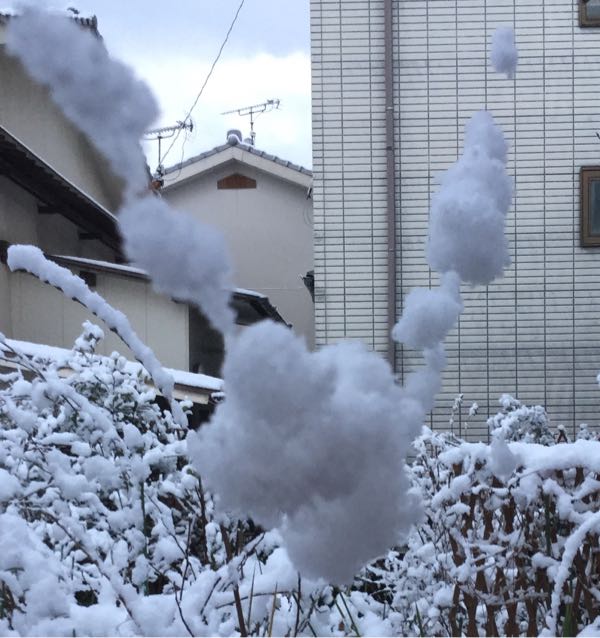rblog-20170123075050-05.jpg