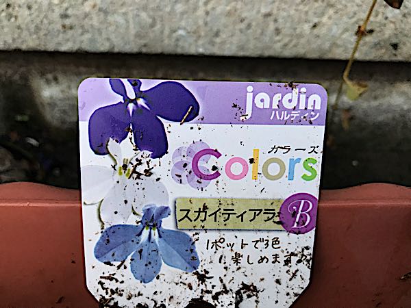 rblog-20180328191417-00.jpg