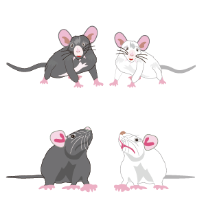 ネズミのキャラクターのイラスト素材 ジルとチッチの年賀状素材 楽天ブログ