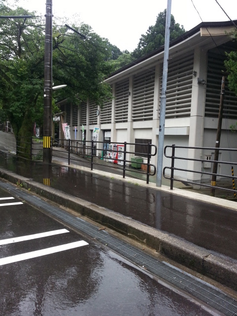 20130714_082645.jpg
