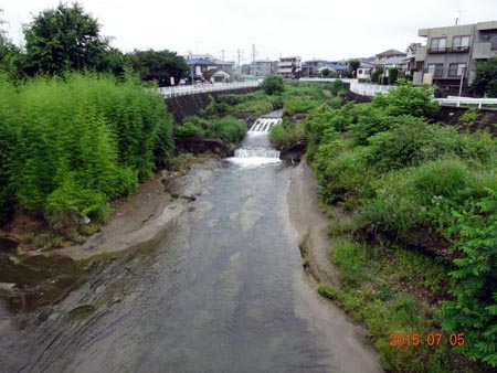 kawaguchi .jpg