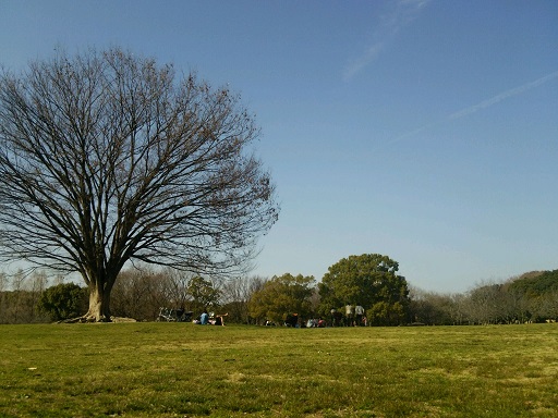 庄内緑地公園