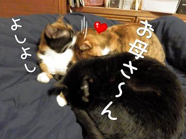 お母さん８.JPG