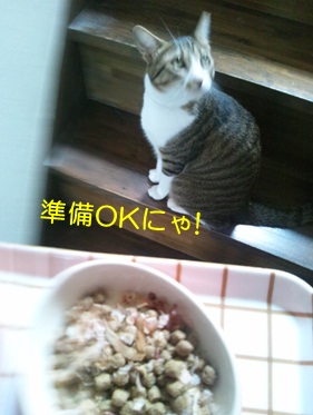 20120904_1.jpg