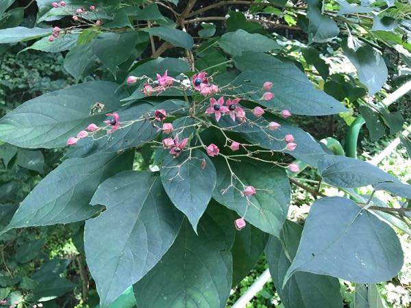 rblog-20170929122818-04.jpg