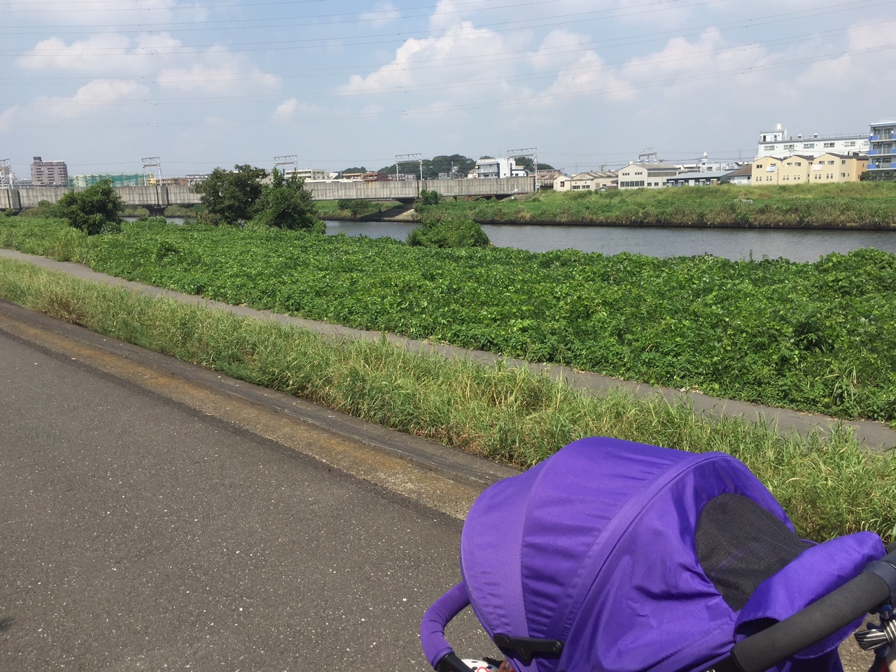 暴れん坊やとママのブログ