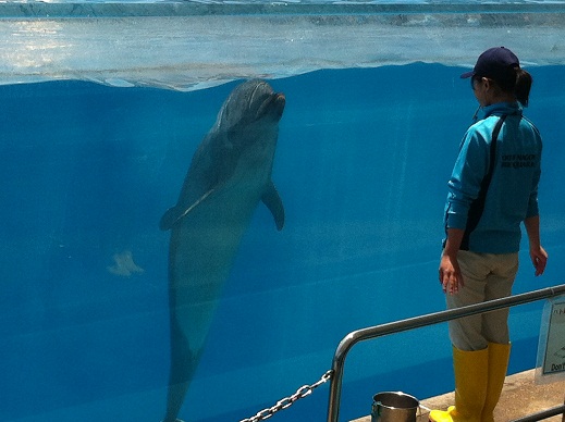 水族館　7.jpg