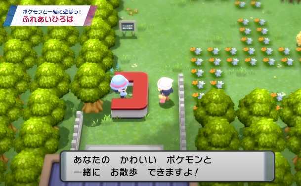 ポケットモンスターbd Sp ポケッチ ふれあいひろば篇 みたらし丸のゲームブログ 楽天ブログ