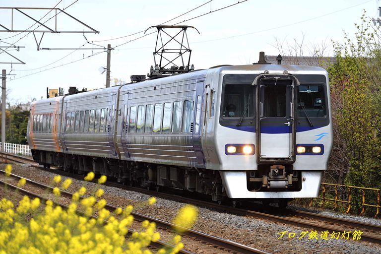 菜の花入りの8000系特急「いしづち」 | ブログ「鉄道幻灯館」 - 楽天ブログ