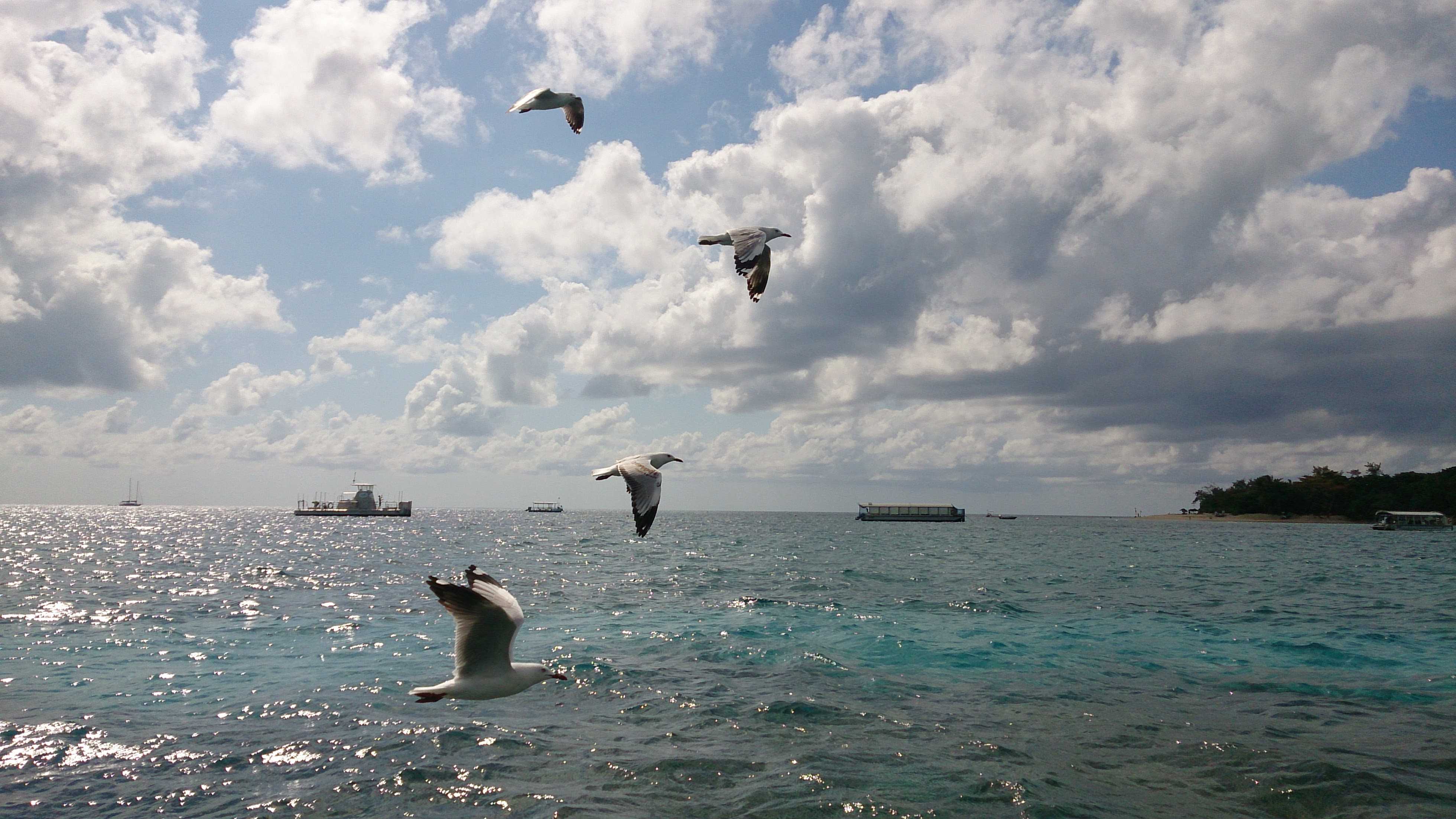 ひといき・といき