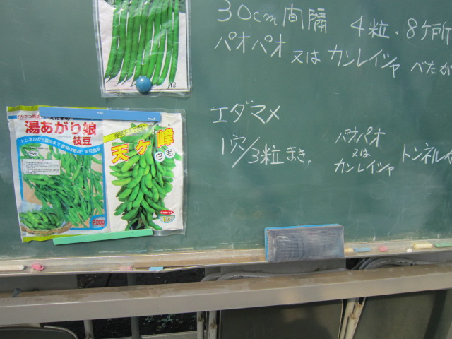20120413黒板4.jpg
