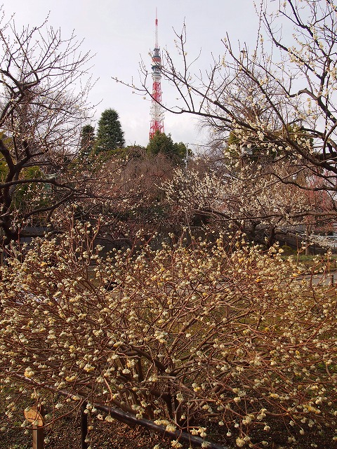 s-p1072.jpg