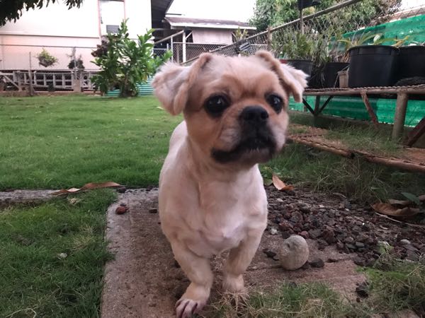 rblog-20190324210814-01.jpg