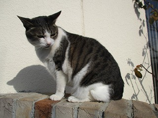 IMG_5291ss.jpg