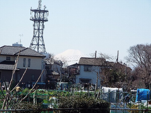 fujisan-furougawa-2016-03-17- 1.JPG