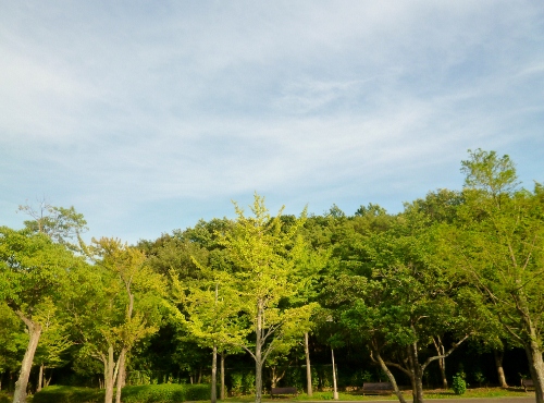 004 (500x370).jpg