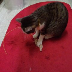 3月７日分 003.jpg