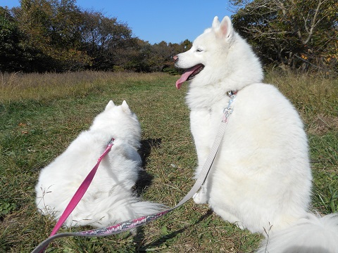 DSCN0570.JPG