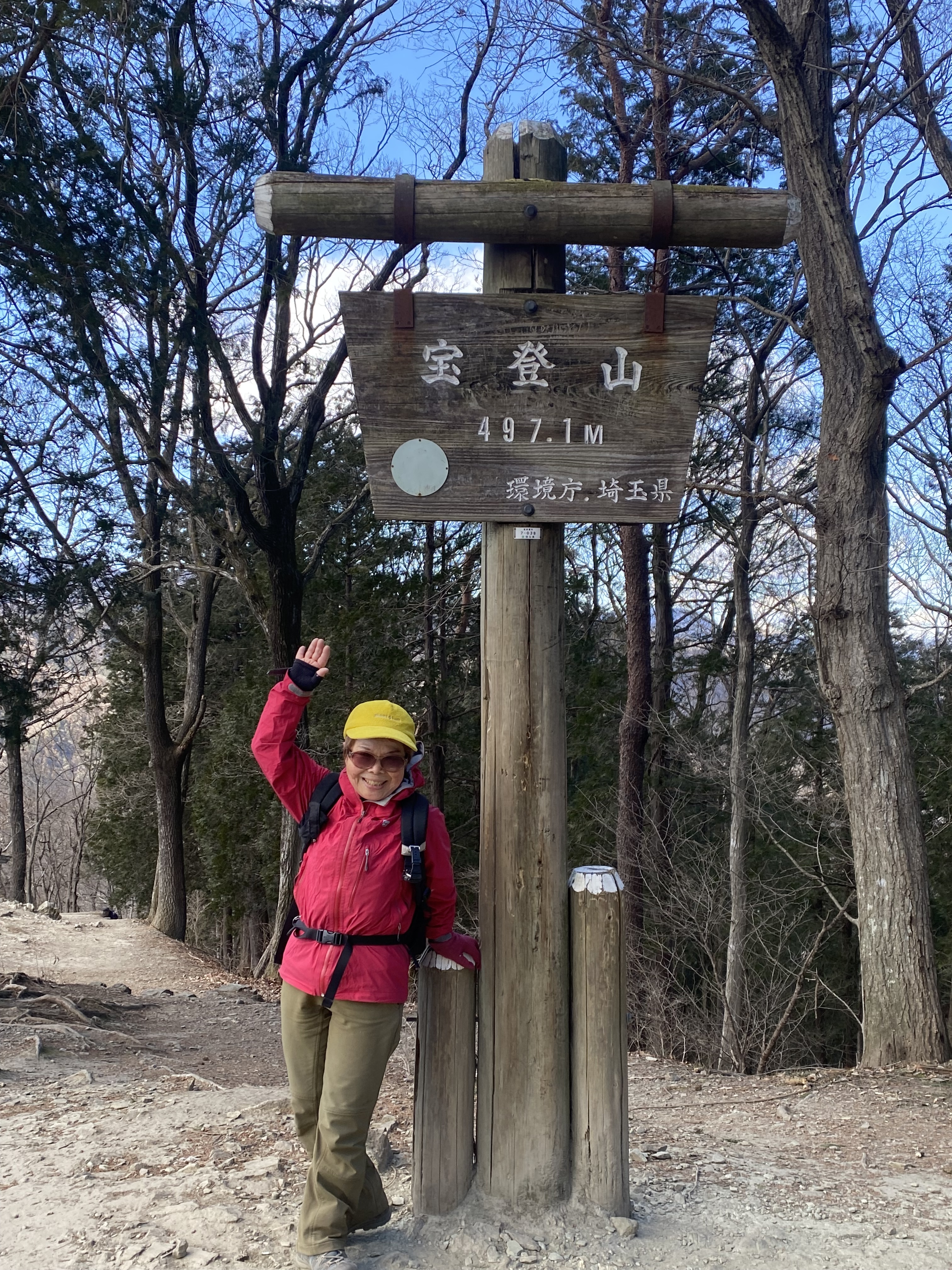 天空の蝋梅が満開～長瀞アルプス宝登山～ | 山への情熱 音楽への愛 - 楽天ブログ