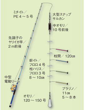 本年初 石廊崎沖スルメイカ 釣行 駿河湾の釣り人日誌 楽天ブログ