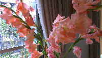 rblog-20130807003635-02.png